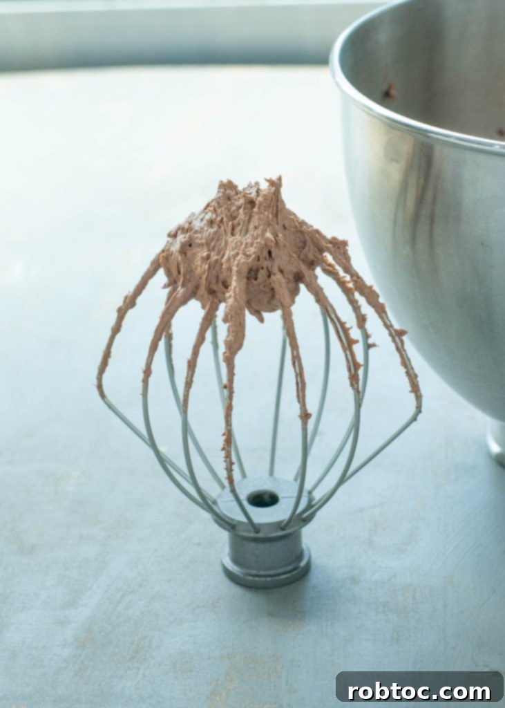 Effortless 2-Ingredient Dairy-Free Chocolate Mousse 4 easy-dairy-free-chocolate-mousse