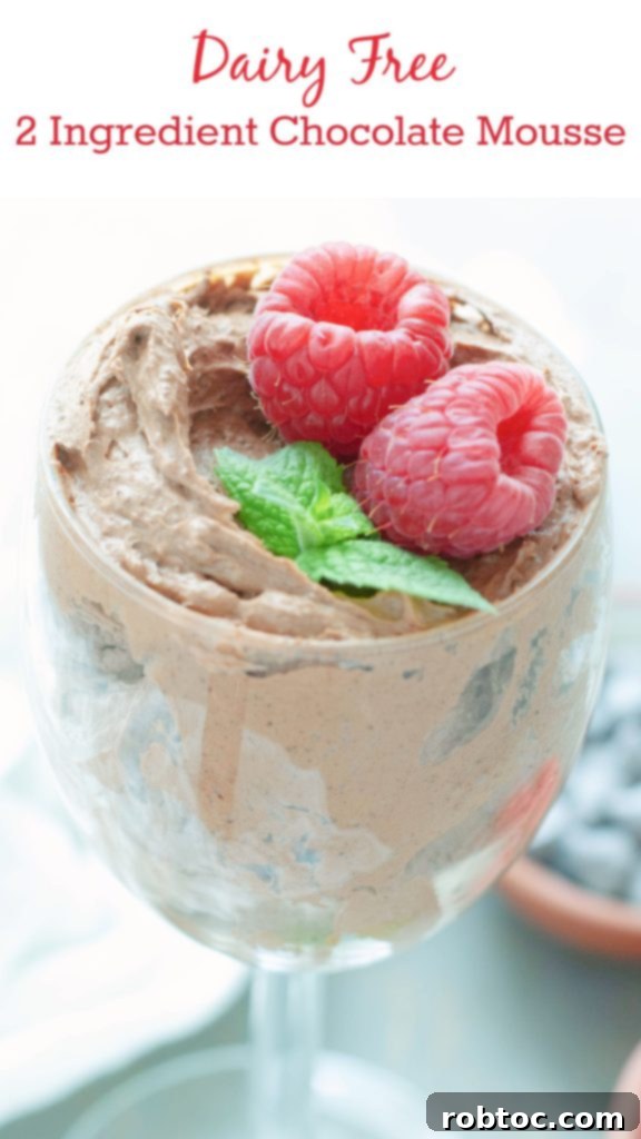 Effortless 2-Ingredient Dairy-Free Chocolate Mousse 9 dairy-free-egg-free-chocolate-mousse-recipe-by-allergy-awesomeness