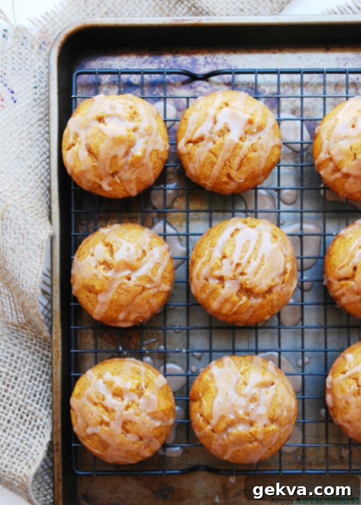 vegan-gluten-free-pumpkin-muffin-recipe